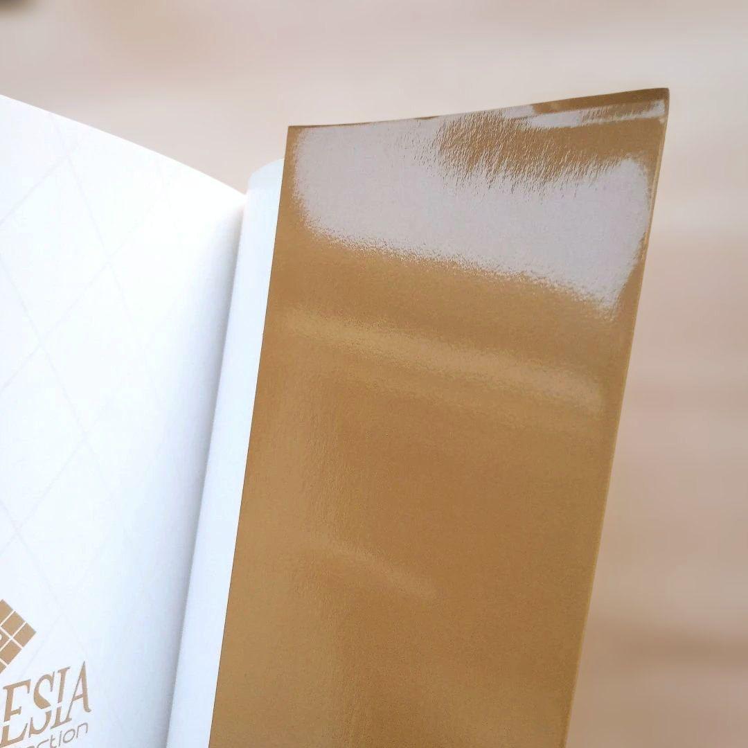 AMNESIA アムネシア 花邑まい 画集 2冊セット 購入特典付き イラスト集