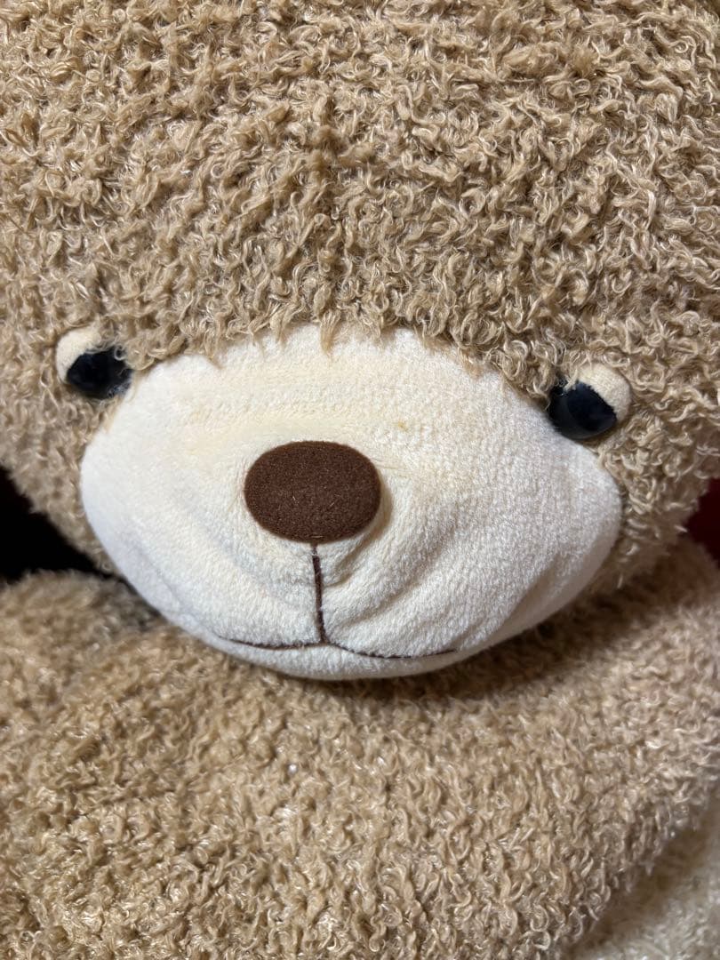 サン・アロー 大きめなテディベア 2体 レトロ くたくた インテリアにも