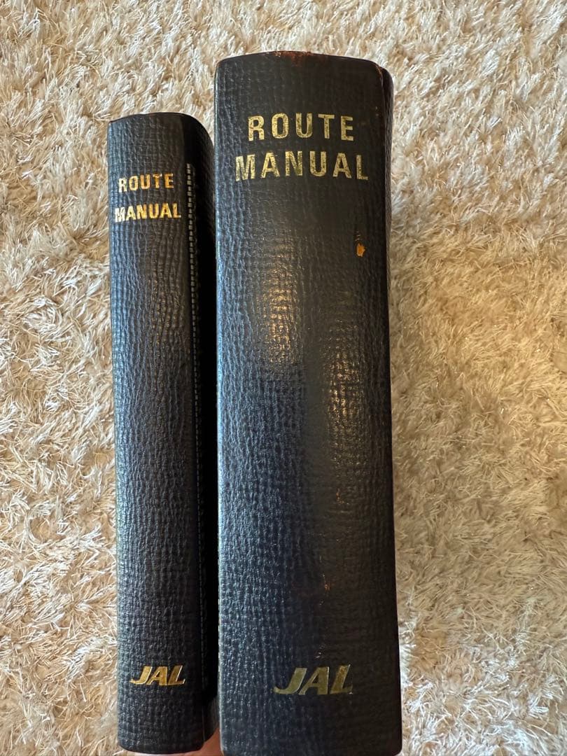 JAL ルートマニュアル 2冊セット