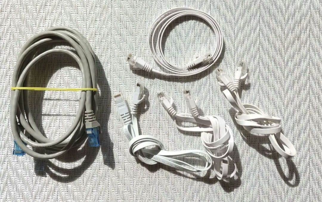 Nintendo Switch　リングフィットアドベンチャー　LAN接続いろいろ