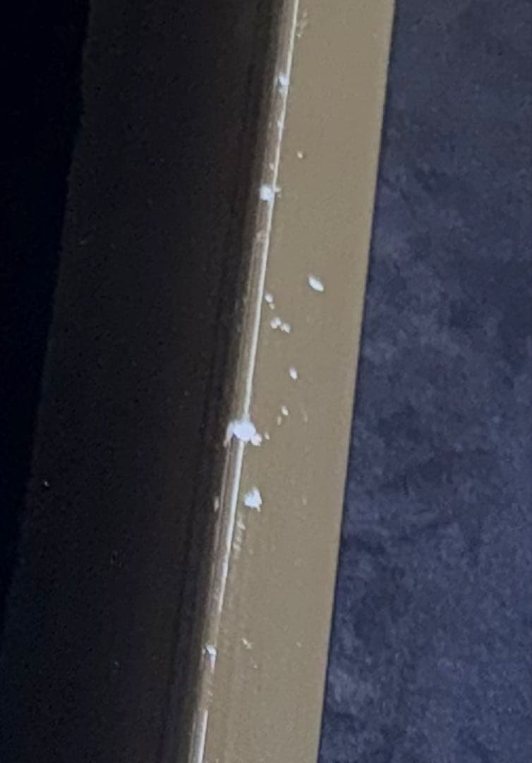 【真作】クリスチャン・ラッセン スターリーアイズL