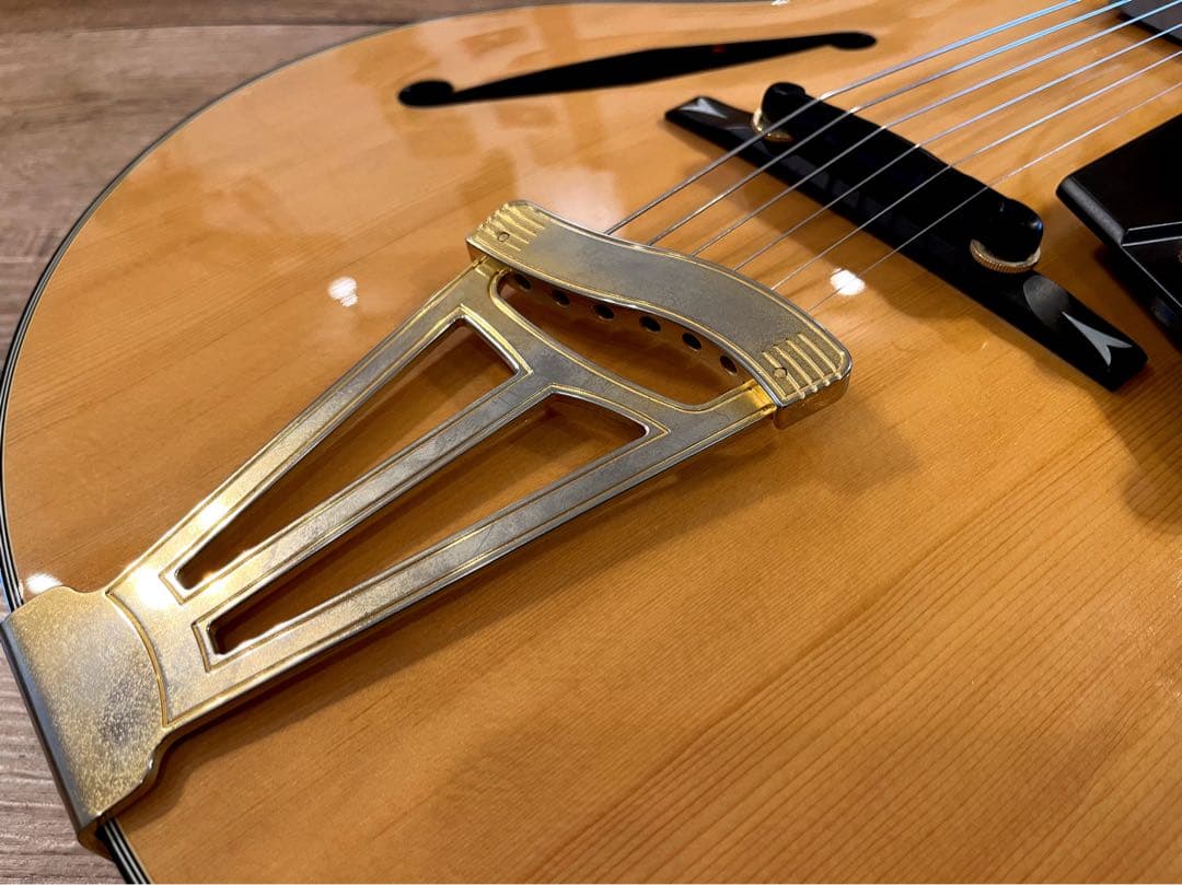 Fujigen/Masterfield MFA-FP 【フジゲン】【フルアコ】