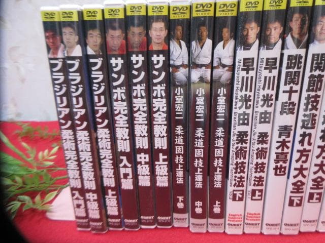 j*n様 8YY384　大量 DVD21本 ブラジリアン柔術完全教則/柔術技法D