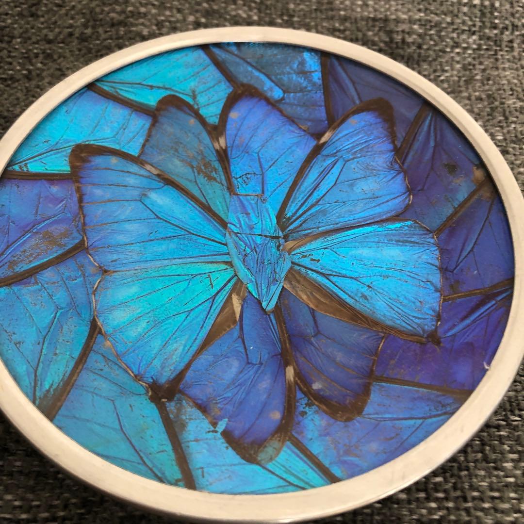 モルフォ蝶　飾り皿　標本　壁飾り　壁掛け