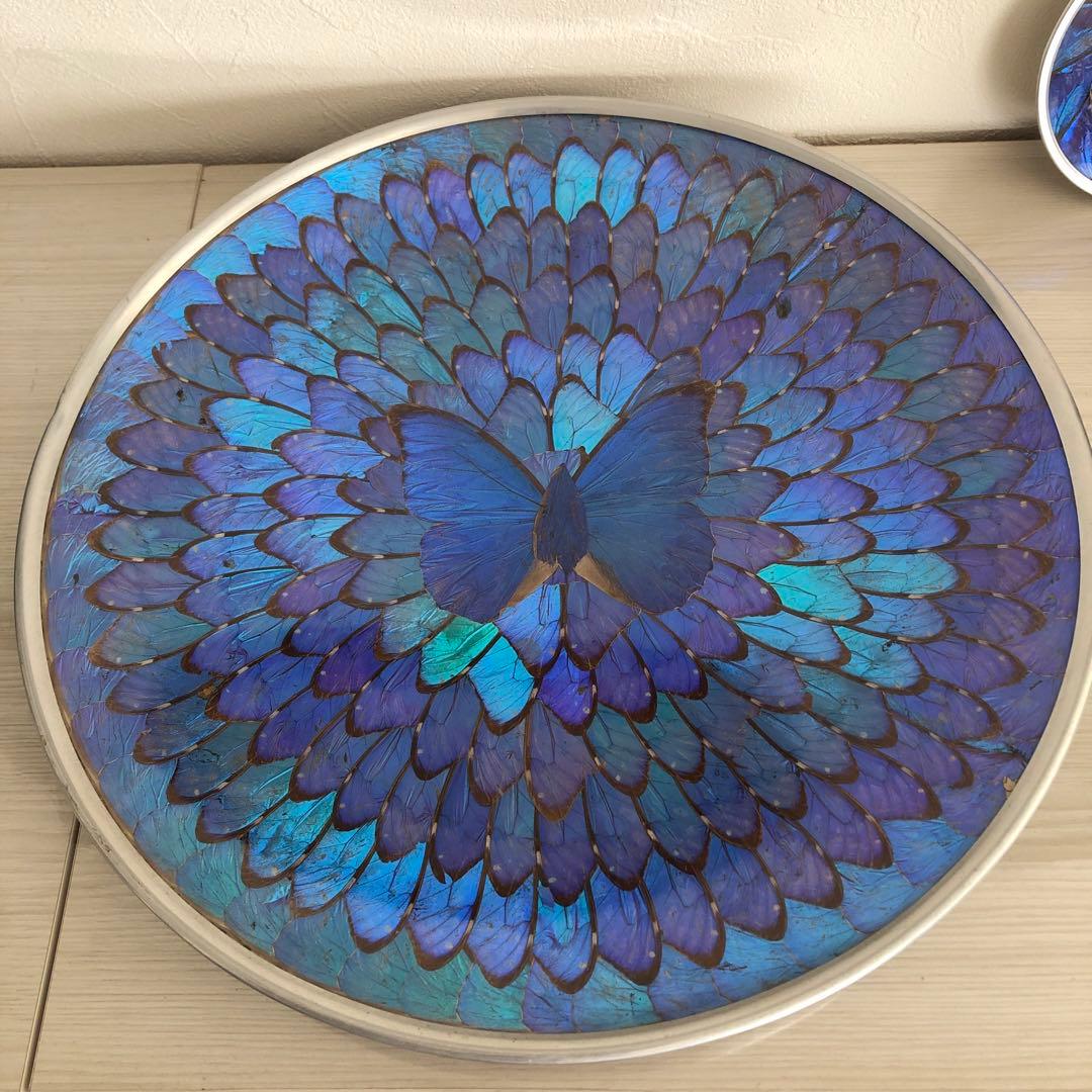 モルフォ蝶　飾り皿　標本　壁飾り　壁掛け