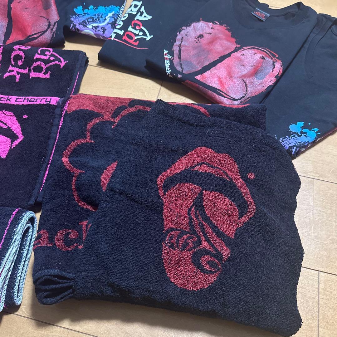 Acid Black CherryメンズМレディース Tシャツ FCタオルセット