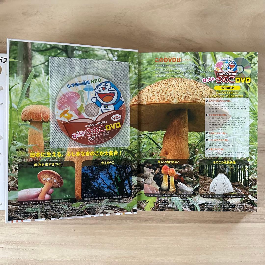 小学館の図鑑 NEO 【DVDつき】 8冊セット