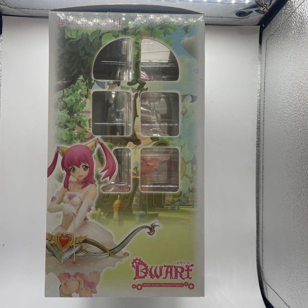 ドワーフ　リネージュ　オーキッドシード