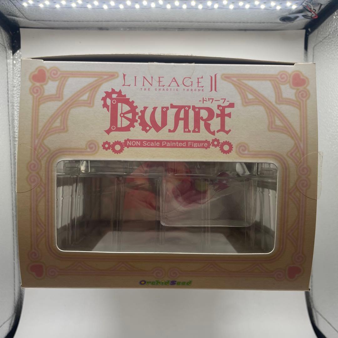 ドワーフ　リネージュ　オーキッドシード