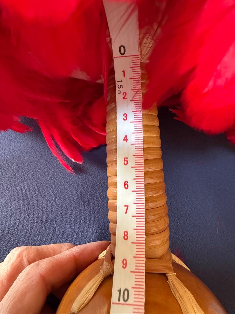 ウリウリ　楽器　フラダンス　一体型