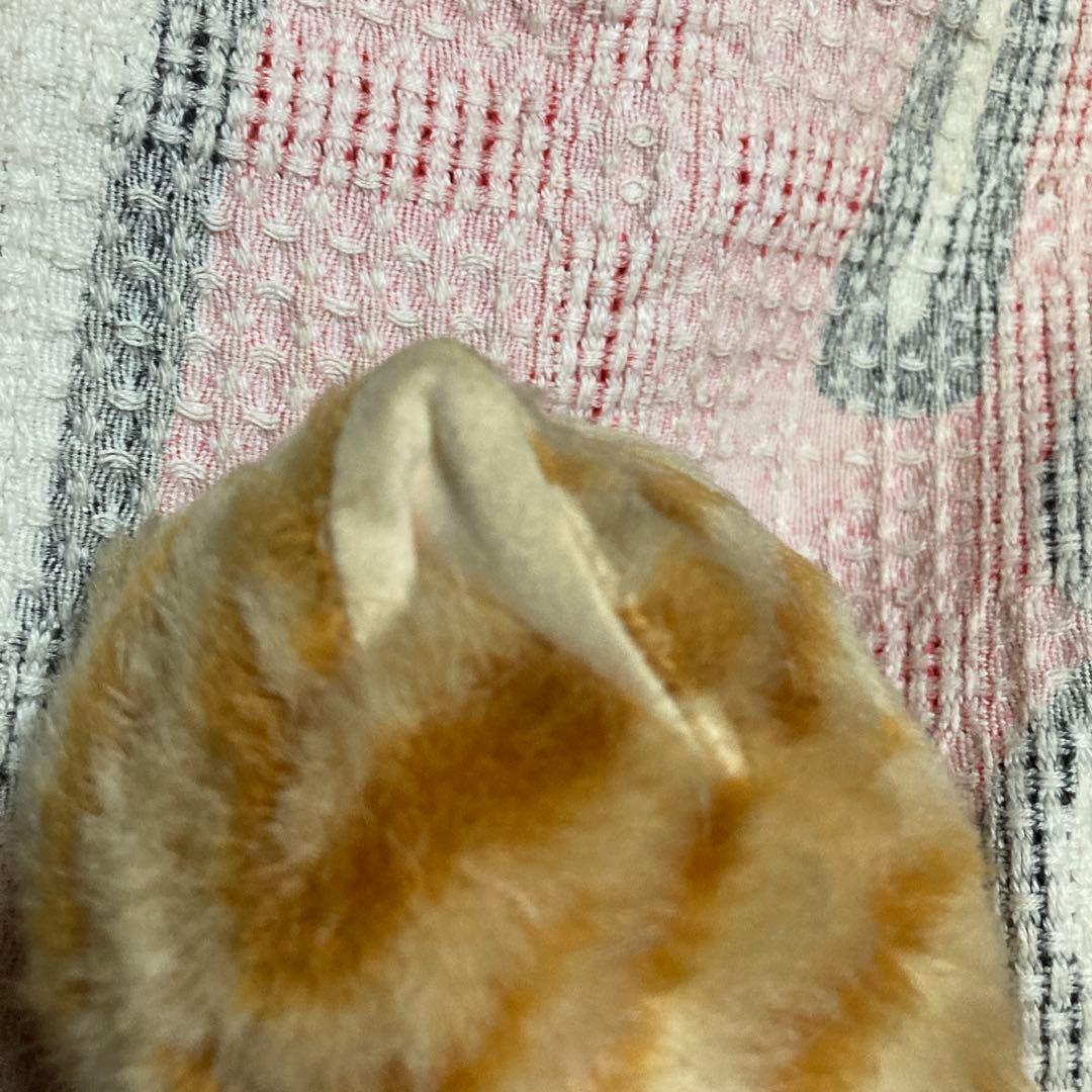 ファースト社　いたずら天使　ネコ　マレーシア製　中古品