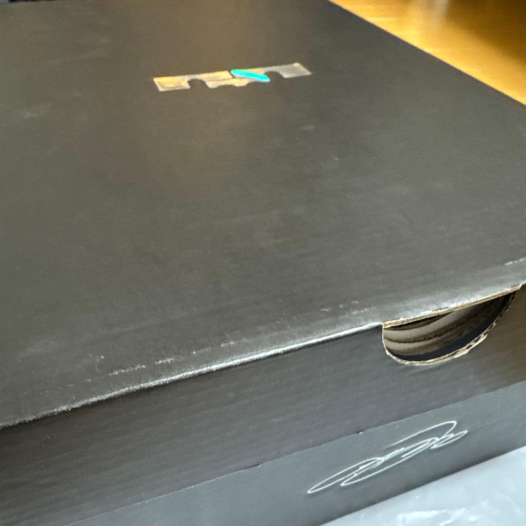 Nike LeBron 17 ブラック/パープル US 8