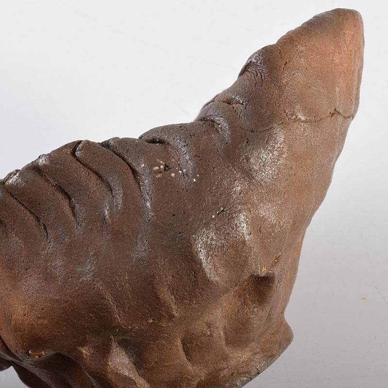 煎茶道具　南蛮手　手造　湯冷　在銘　時代箱　M　R7601