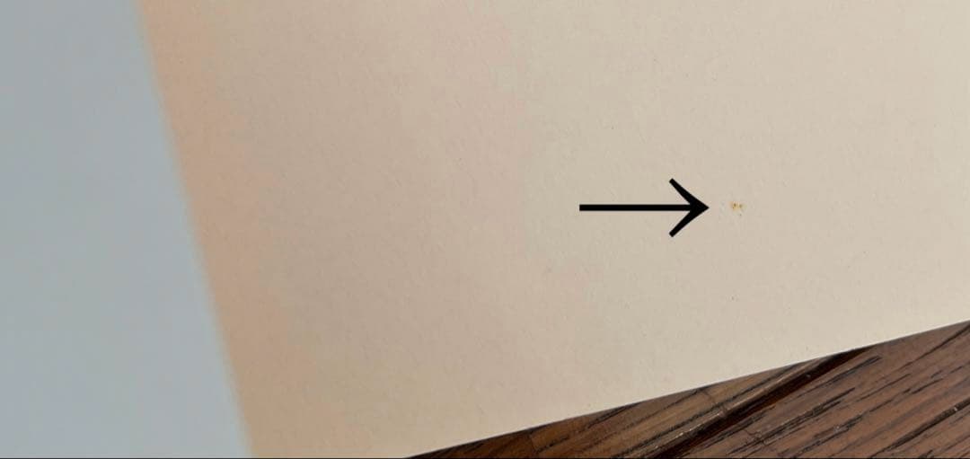 モデル、ファッション系　本まとめ売り