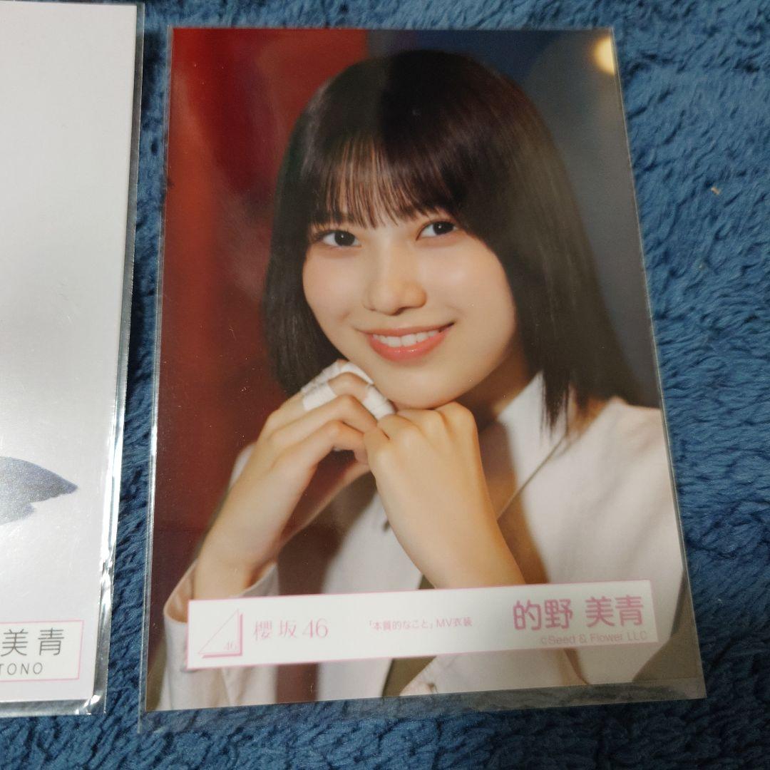 櫻坂46　的野美青　生写真　バラ