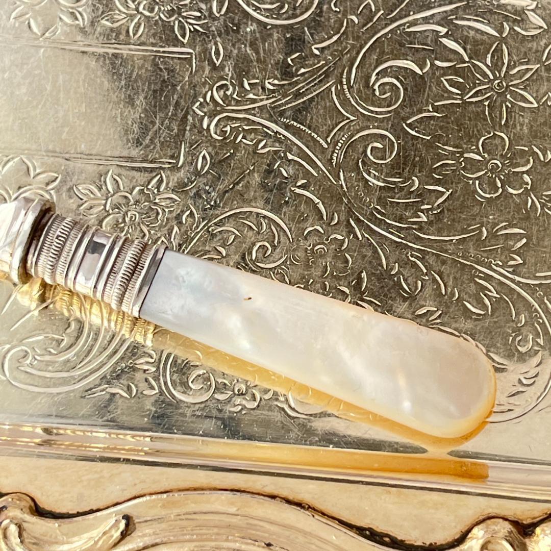 【英国】 サーディンサーバー【白蝶貝】マザーオブパール