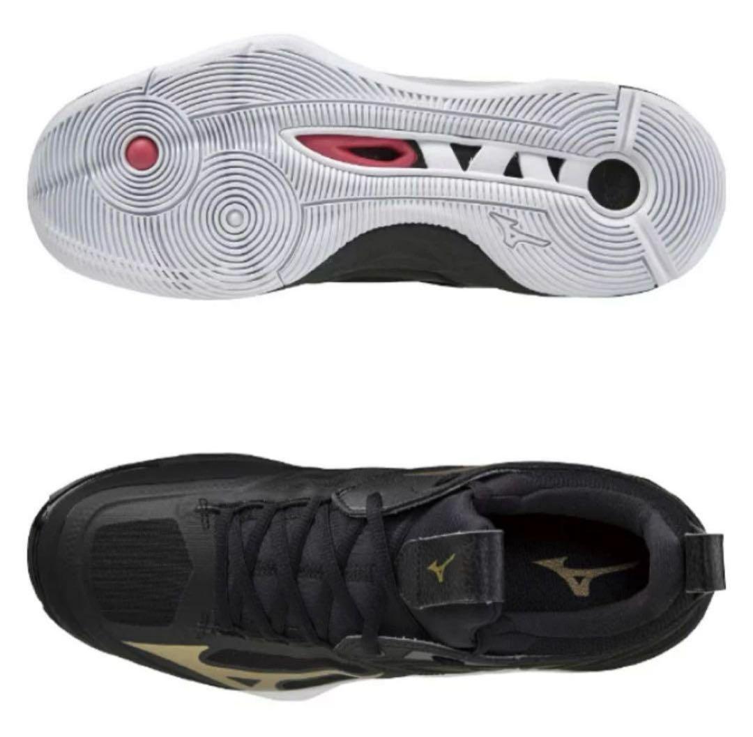 シューズ Mizuno wave momentum 2 V1GA211252