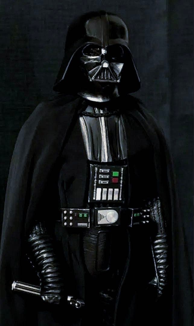 美品‼️スターウォーズ ホットトイズマスターピース ダース・ベイダー 1/6