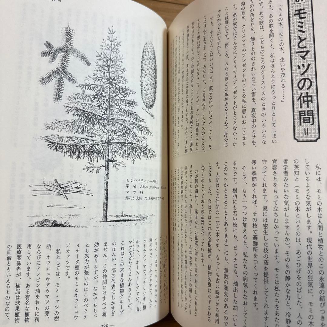 メッセゲ氏の薬草療法 ハーブ 薬草 自然療法 本 自然の友社 モーリス・メッセゲ