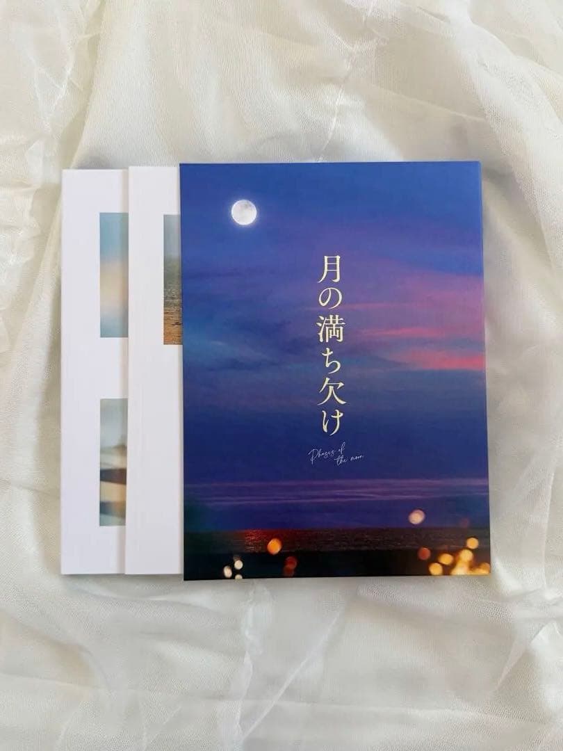 映画 月の満ち欠け DVD パンフレット トートバッグ まとめ売り 目黒蓮
