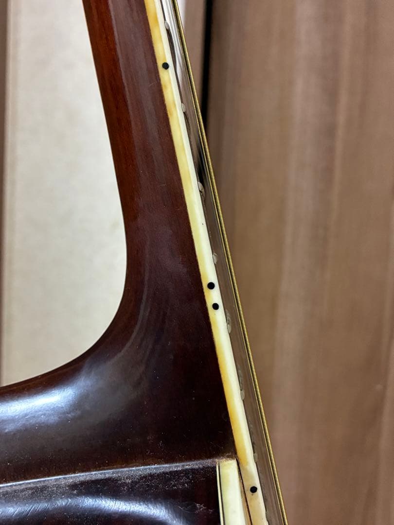 Morris W-50 アコースティックギター