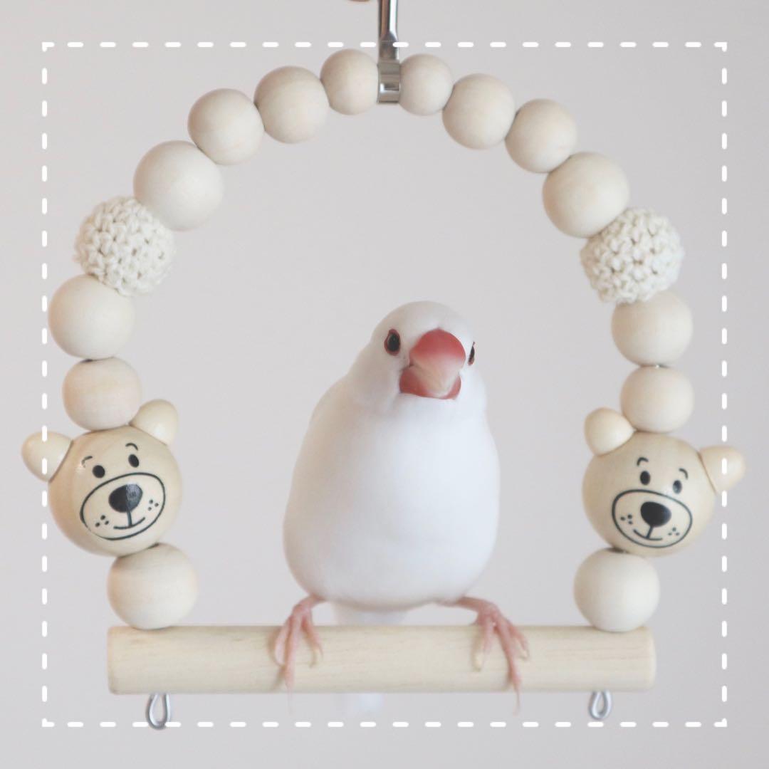 【misoppa.miso2】ことりのおおきなあそびば