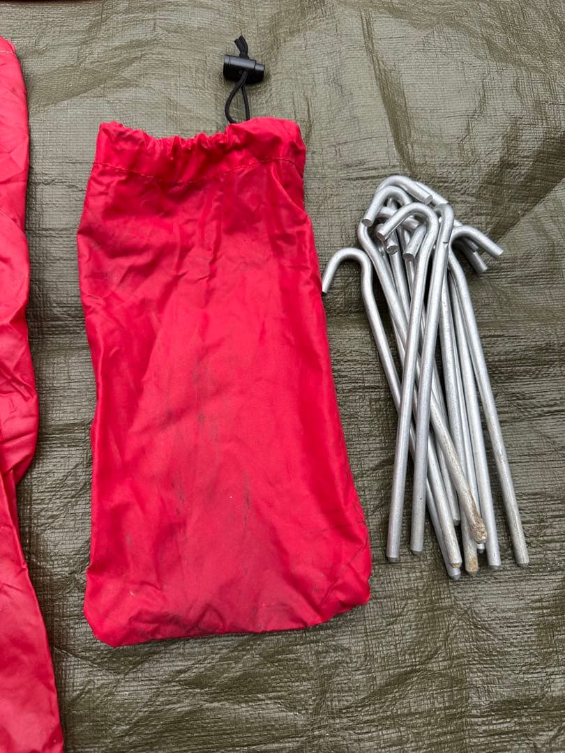 極上品⭐︎ Moss Stargazer モステント・スターゲイザー