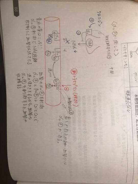 薬剤師国家試験　要点マスター青問2022年版❗️大幅値下げ