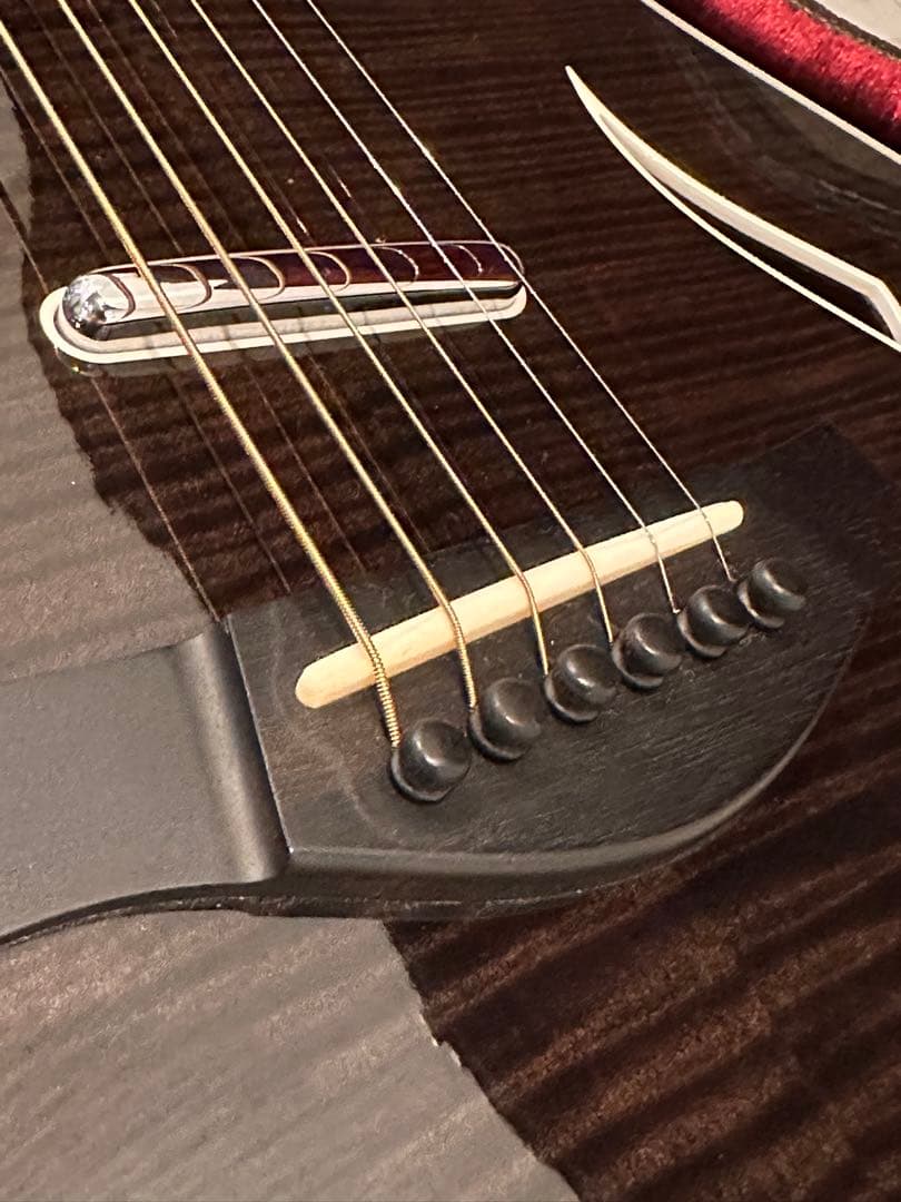 テイラーTaylor T5z Pro GAL