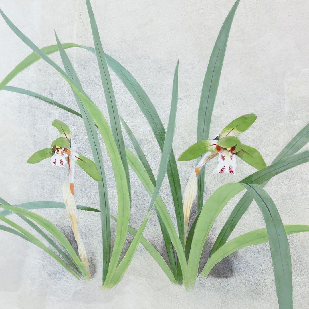 CH2752 松岡政信　絵画　「春欄」 日本画