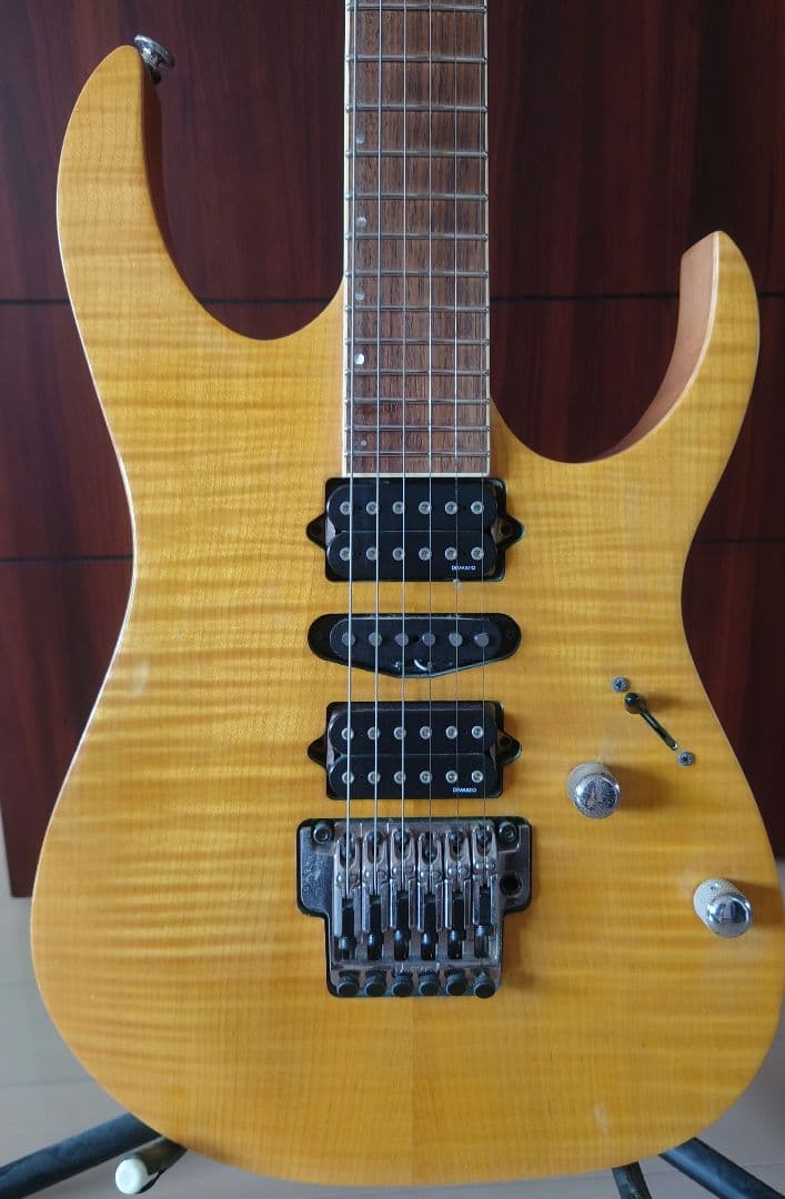 Ibanez RGT3170 ラッカー塗装　ステンレスフレット