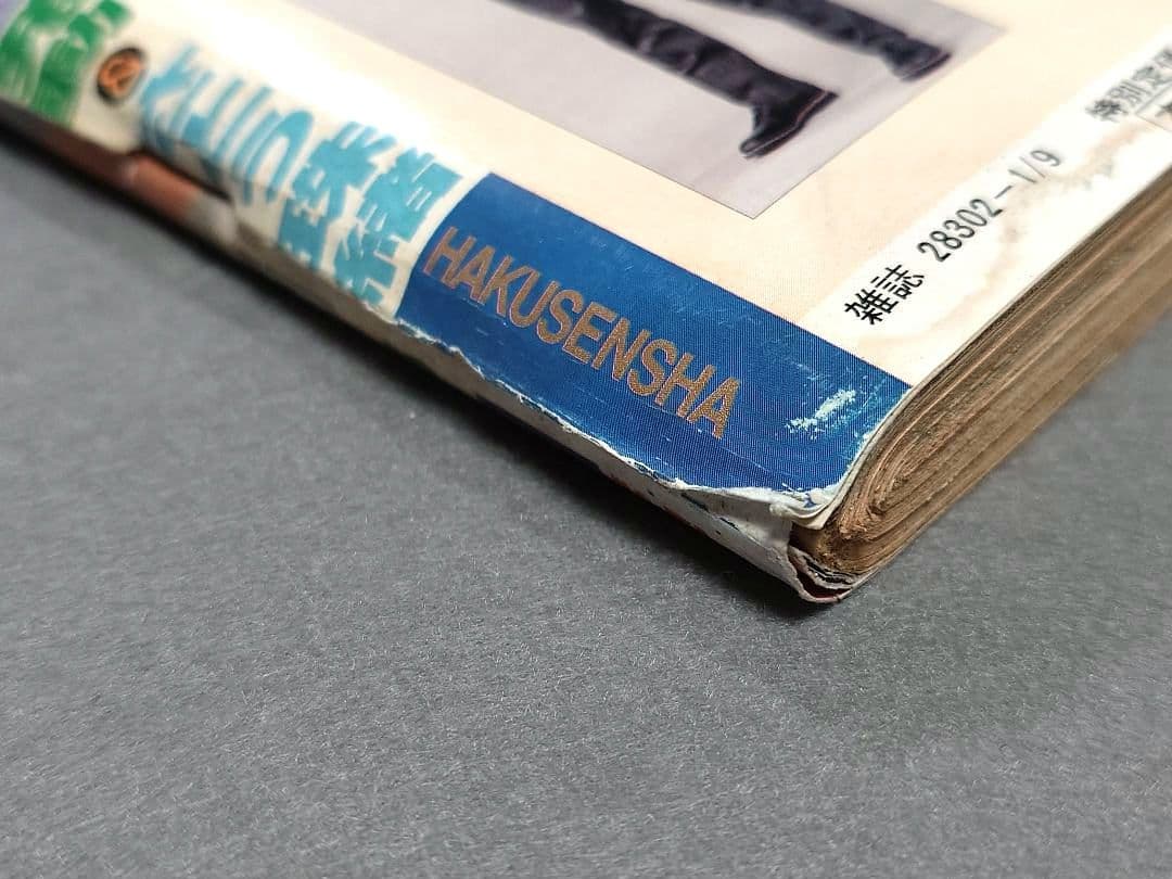 ヤングアニマル1998年1月9日1号ベルセルク巻頭カラー第112話/さとう珠緒