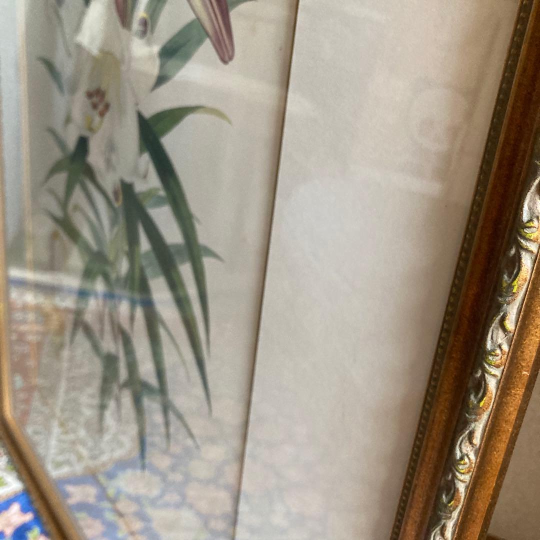 ボタニカル　絵　ローラアシュレイ　イギリスで購入