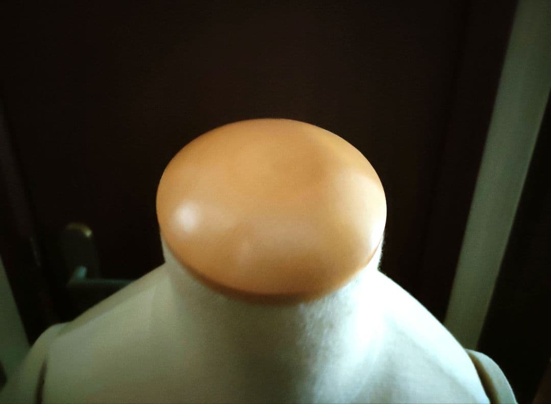 腕付き和装トルソー　2本足　高さ調節可能　マネキン　洋装トルソー　着付け練習用