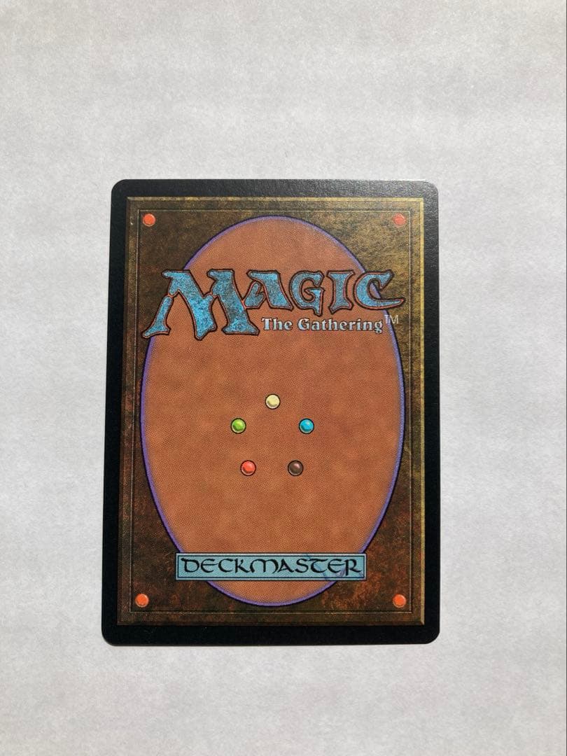 大地の知識(日本語版) MTG マジックザギャザリング