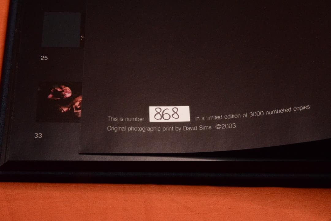 VISIONAIRE 40：DAVID SIMS ROSES　★★値下げしました