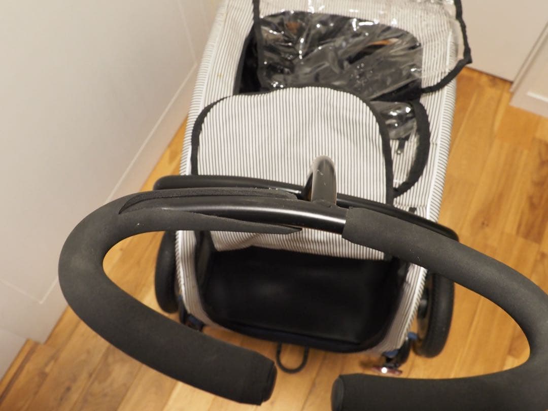 エアバギー トゥインクル マンダリンブラザーズ 限定カラー