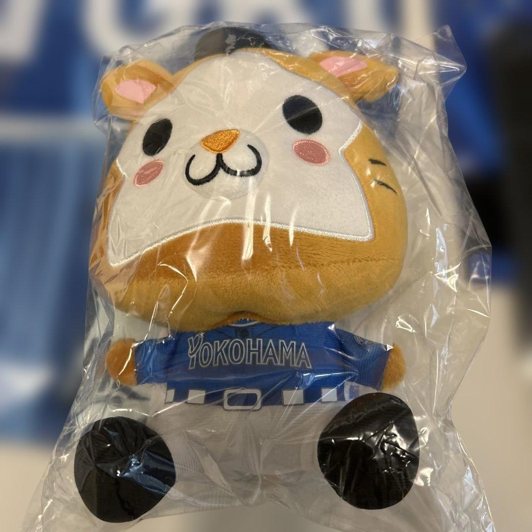 ☆*☆様 横浜ベイスターズ　ファンフェス　グッズ　応援グッズ