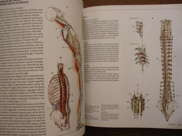 アート・デザイン・音楽 Struttura uomo in movimento