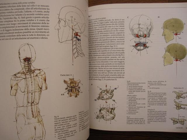 アート・デザイン・音楽 Struttura uomo in movimento