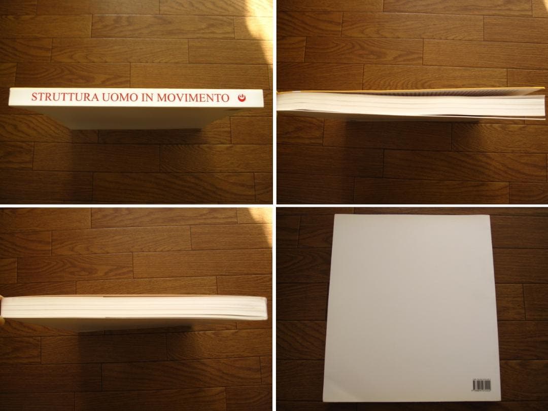 アート・デザイン・音楽 Struttura uomo in movimento