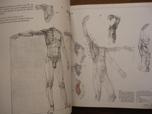 アート・デザイン・音楽 Struttura uomo in movimento