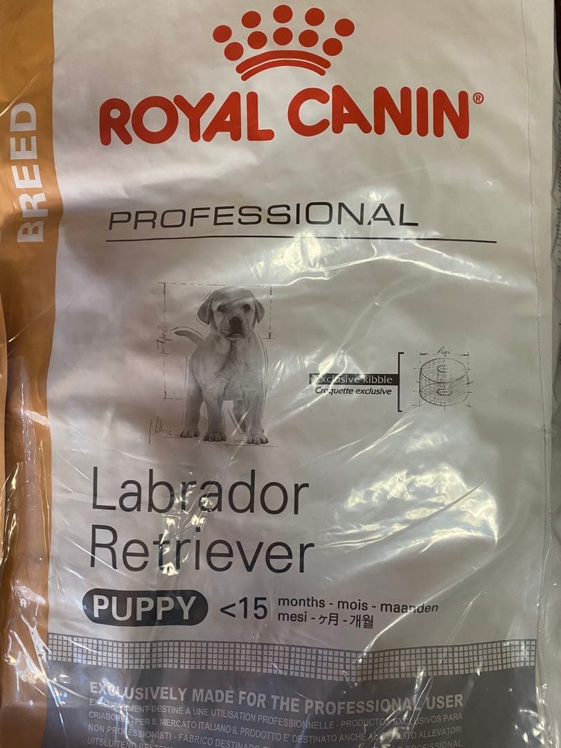 ロイヤルカナン ラブラドールレトリバー子犬用　１６キロ