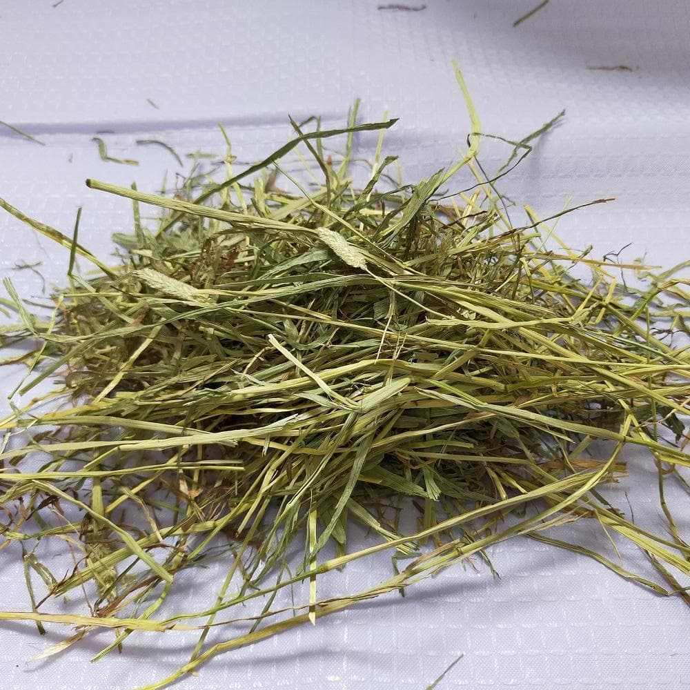 US産 チモシー 120kg ２番刈り ソフトSプレミアム