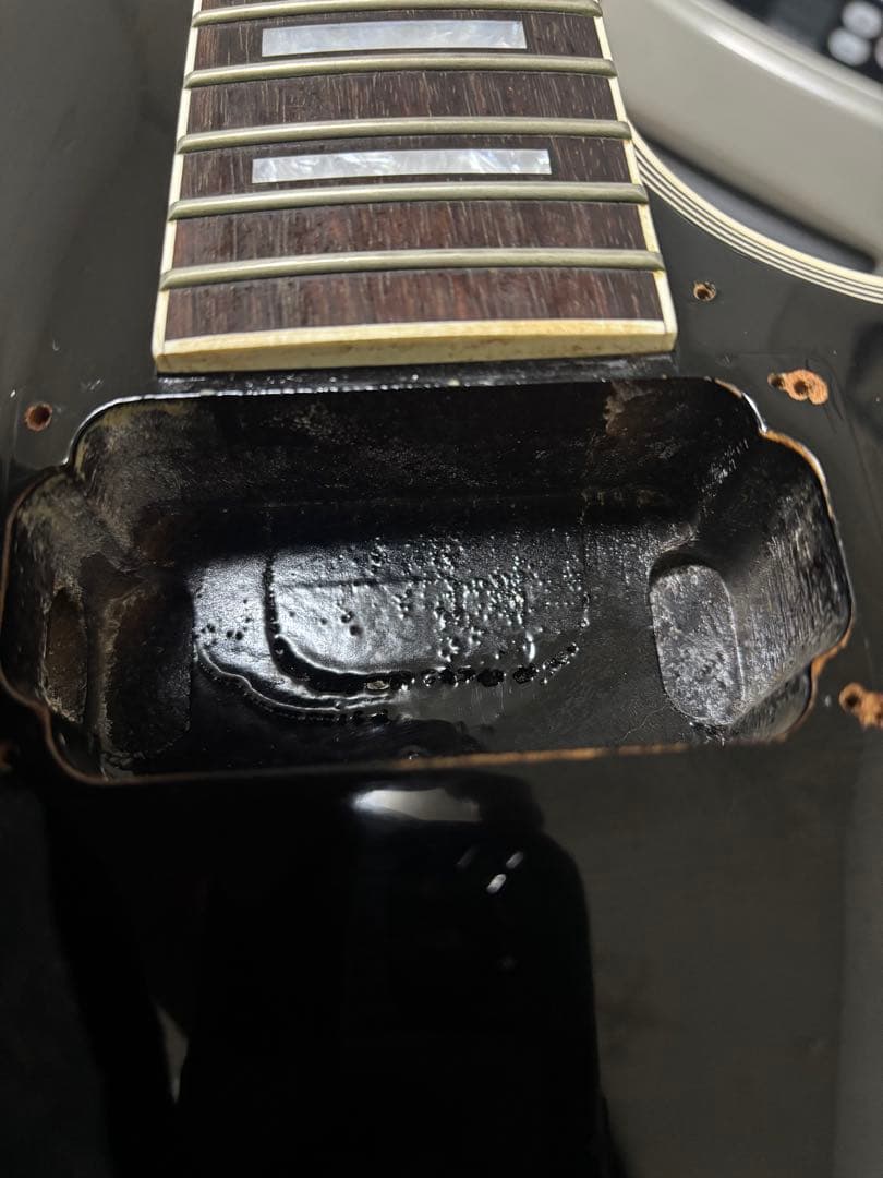 E-LP CTM By navigator バイナビ　レスポールカスタム