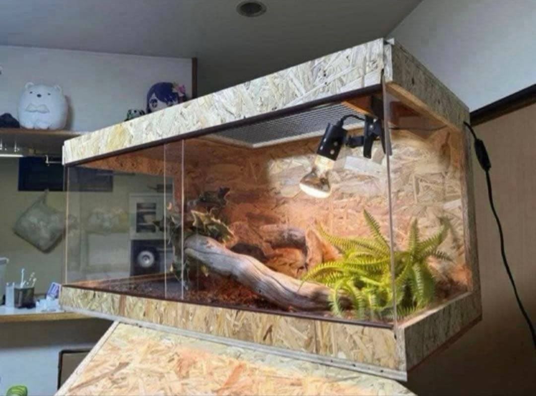 爬虫類ケージ 80×40×40 サイドアクリル　飼育ケージ ケージ 爬虫類