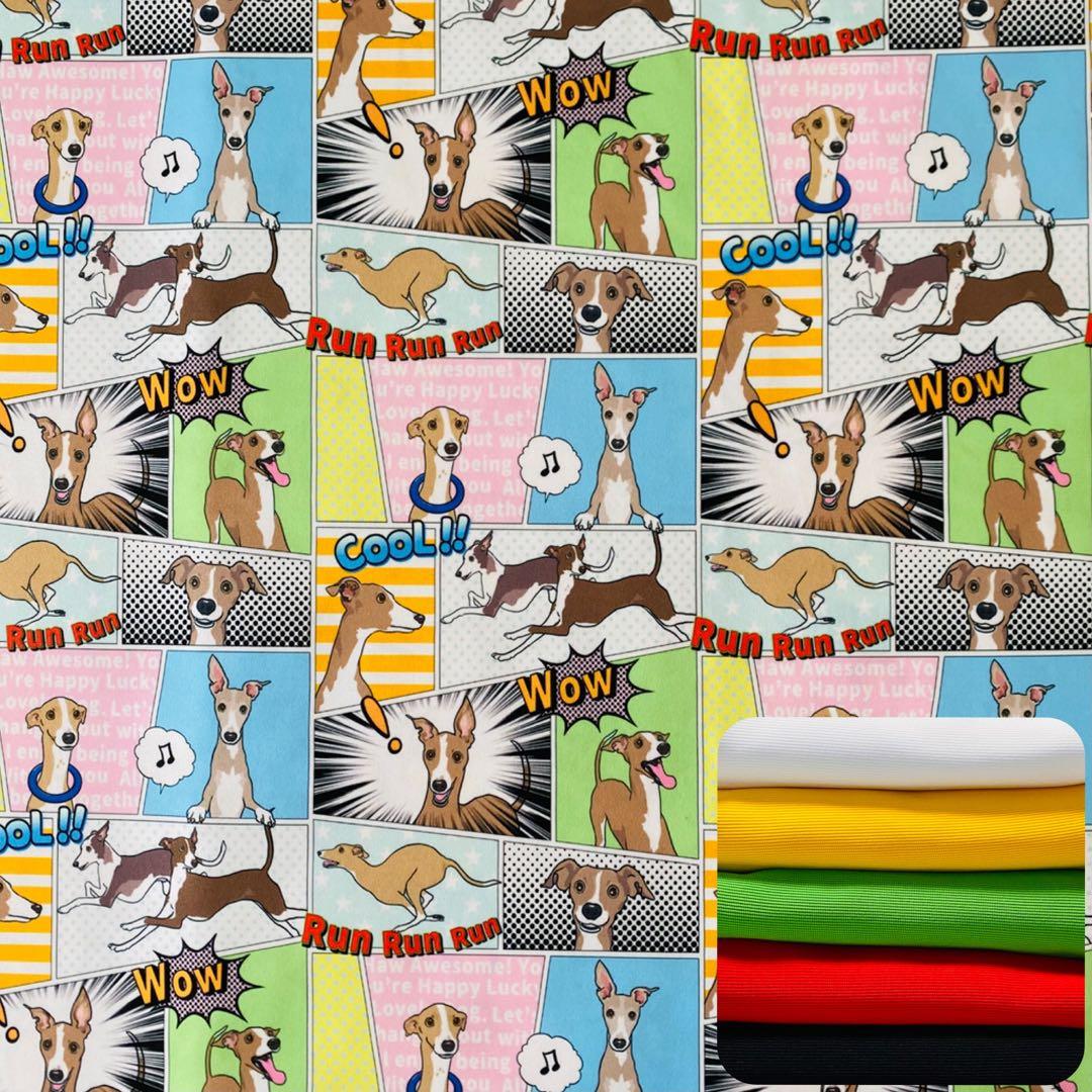 ⑮ミニピン、ミニピンを纏う　　　　　　　 　イタグレ、イタグレを纏う