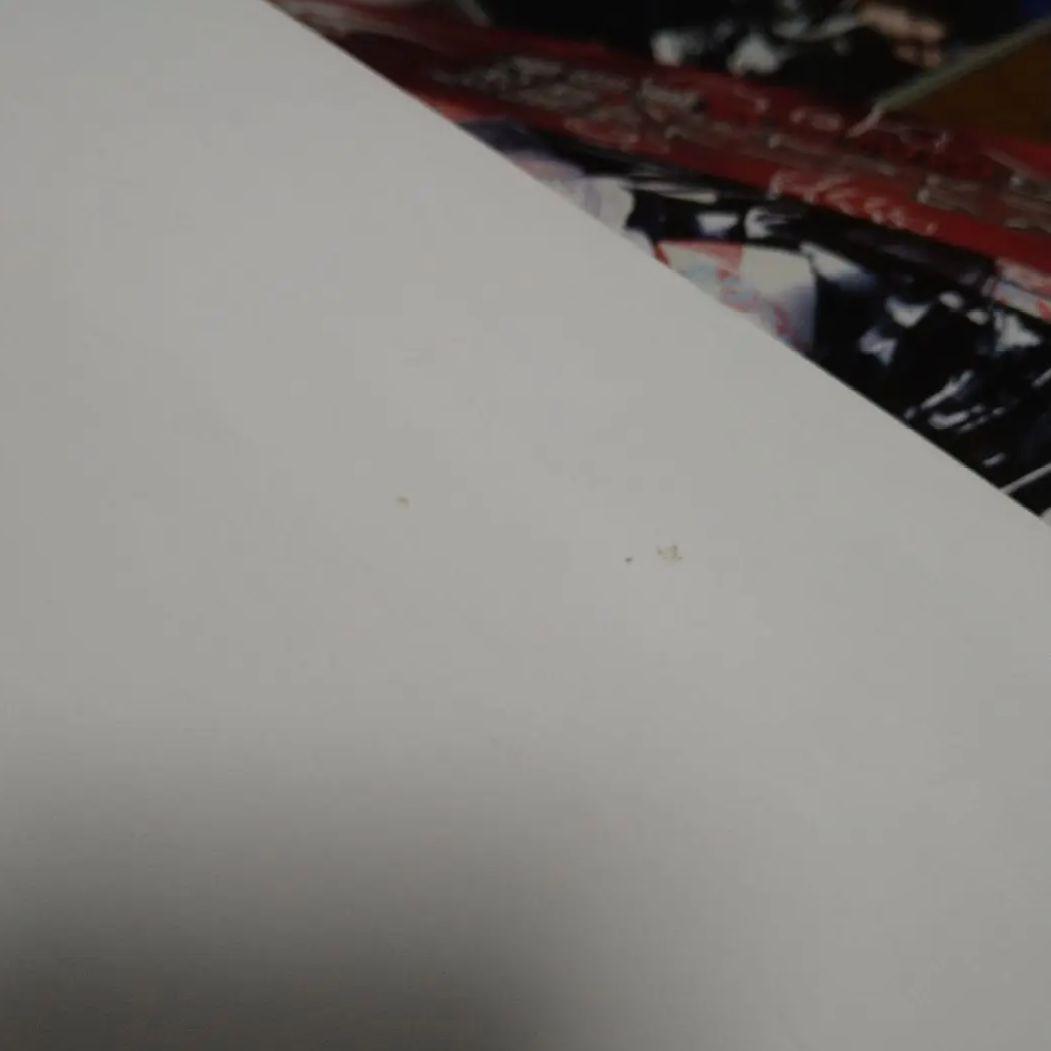 己龍 アナザーサイド ポスター V系 ヴィジュアル系