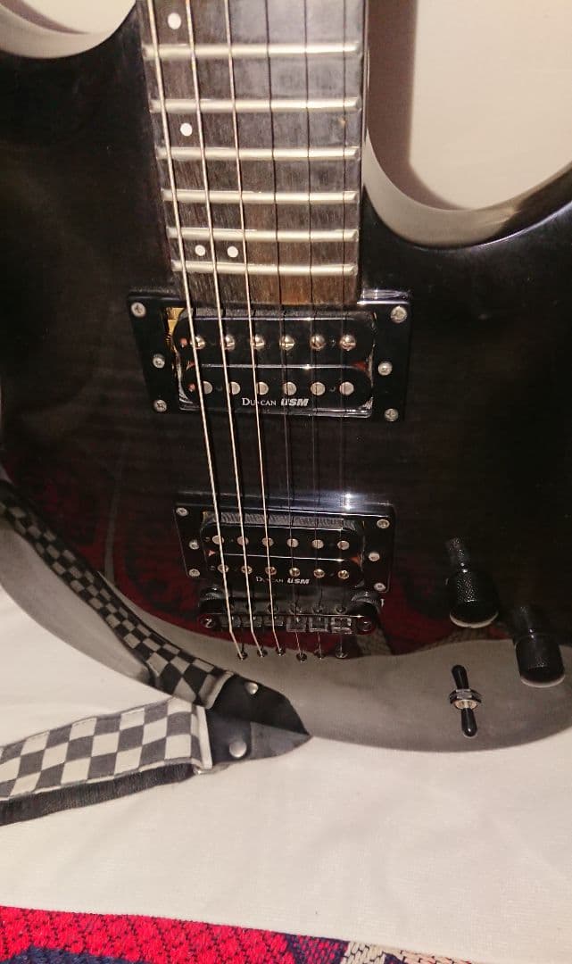 ワッシュバーン エレキギター 動作品