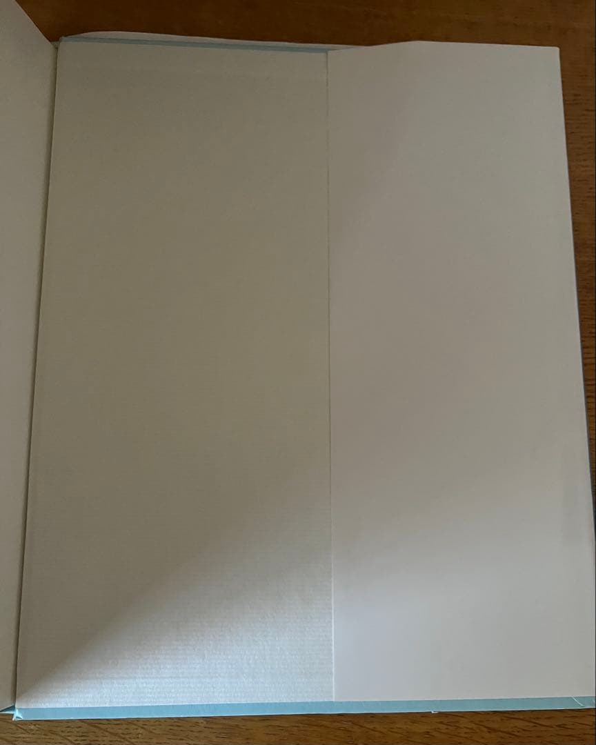 希少★西田ひかる写真集『P-CAN 』初版 永久保存版